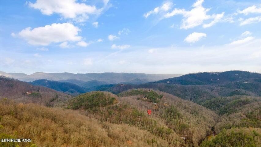 6 Deep Spring Lane Sevierville, TN 37862 - Photo 9 of 11 a view of mountains and valleys