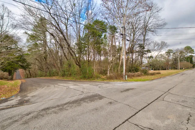 a view of backyard space