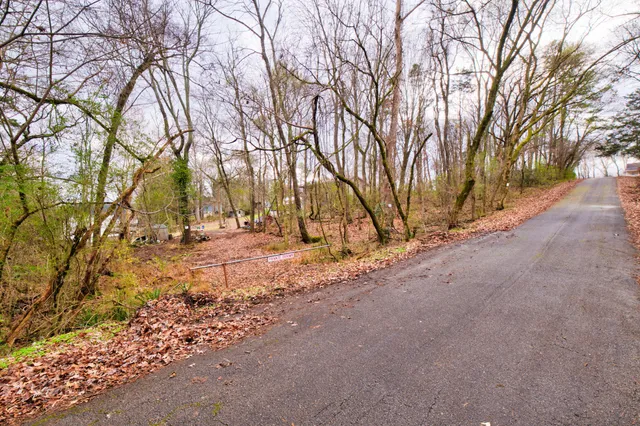 a view of road and trees