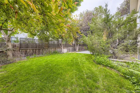 a view of a yard with a large trees