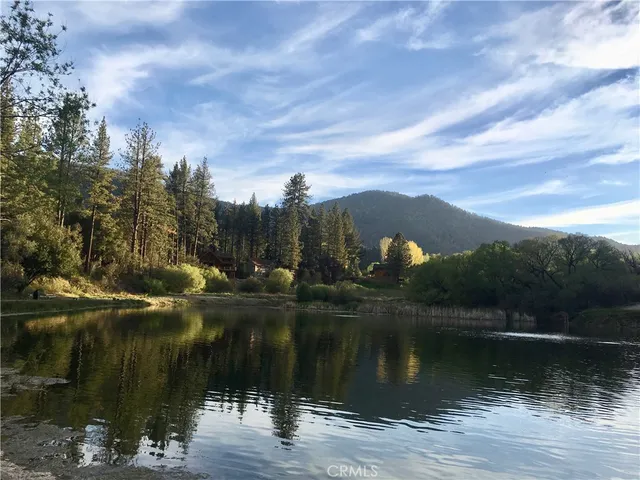 a view of a forest with trees
