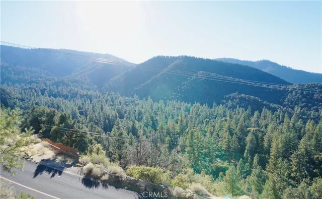 a view of a tree in a yard
