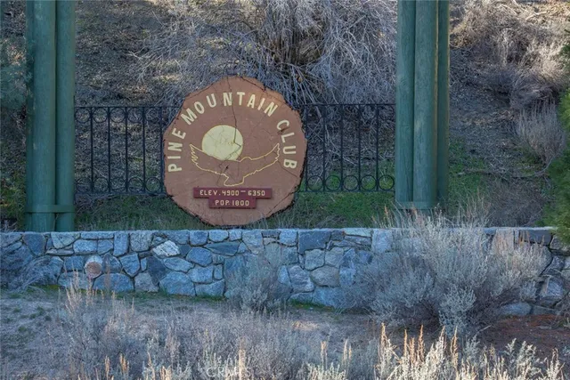 a view of swimming pool with a yard