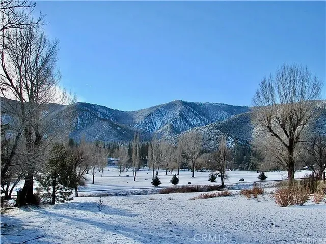 a view of a yard of a house