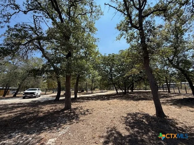 a view of outdoor space with garden