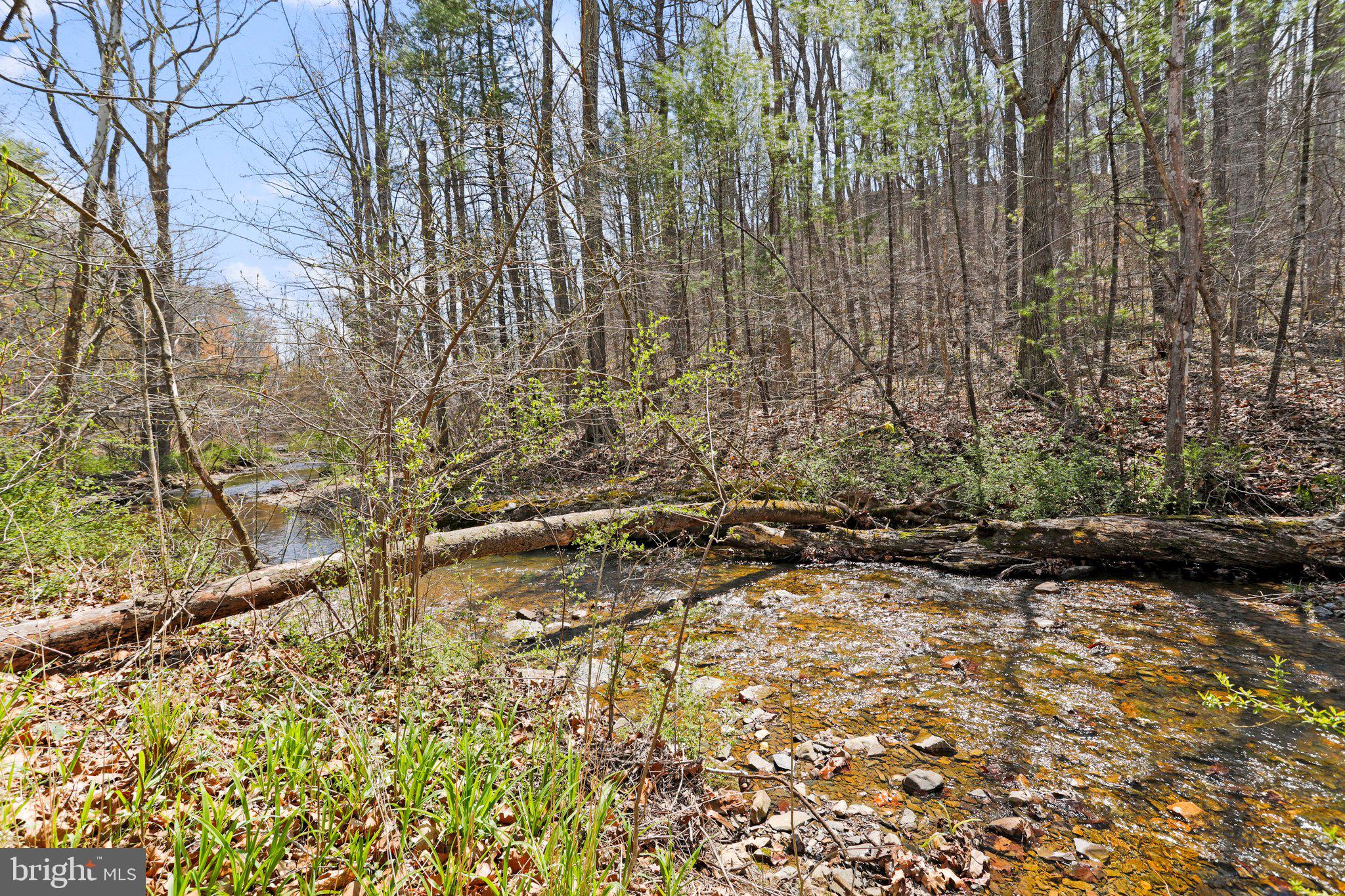 887 Gap Road Strasburg, VA 22657 - Photo 22 of 25
