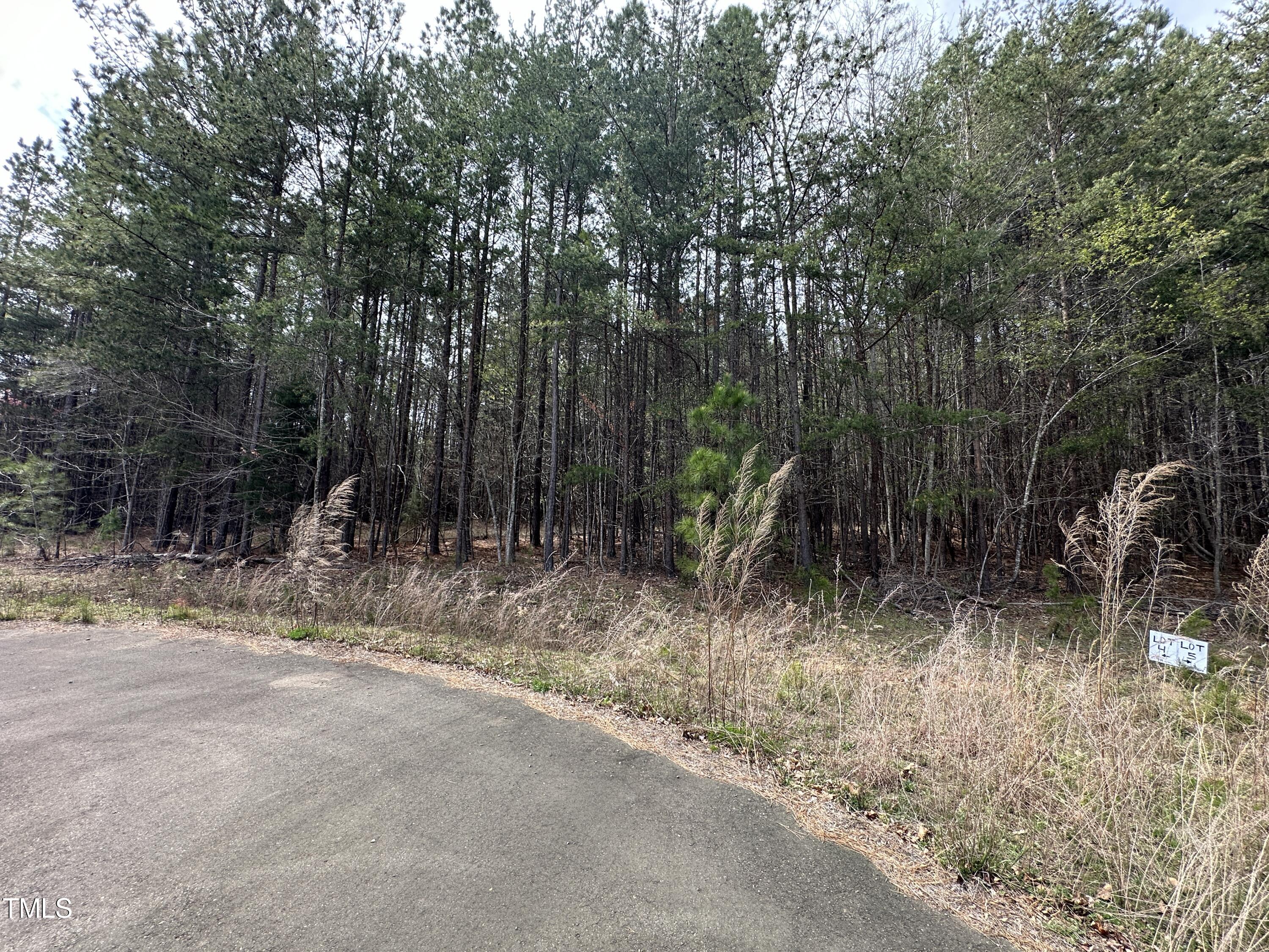 16.87 Cedar Grove Church Road Roxboro, NC 27574 - Photo 1 of 11 IMG_2204