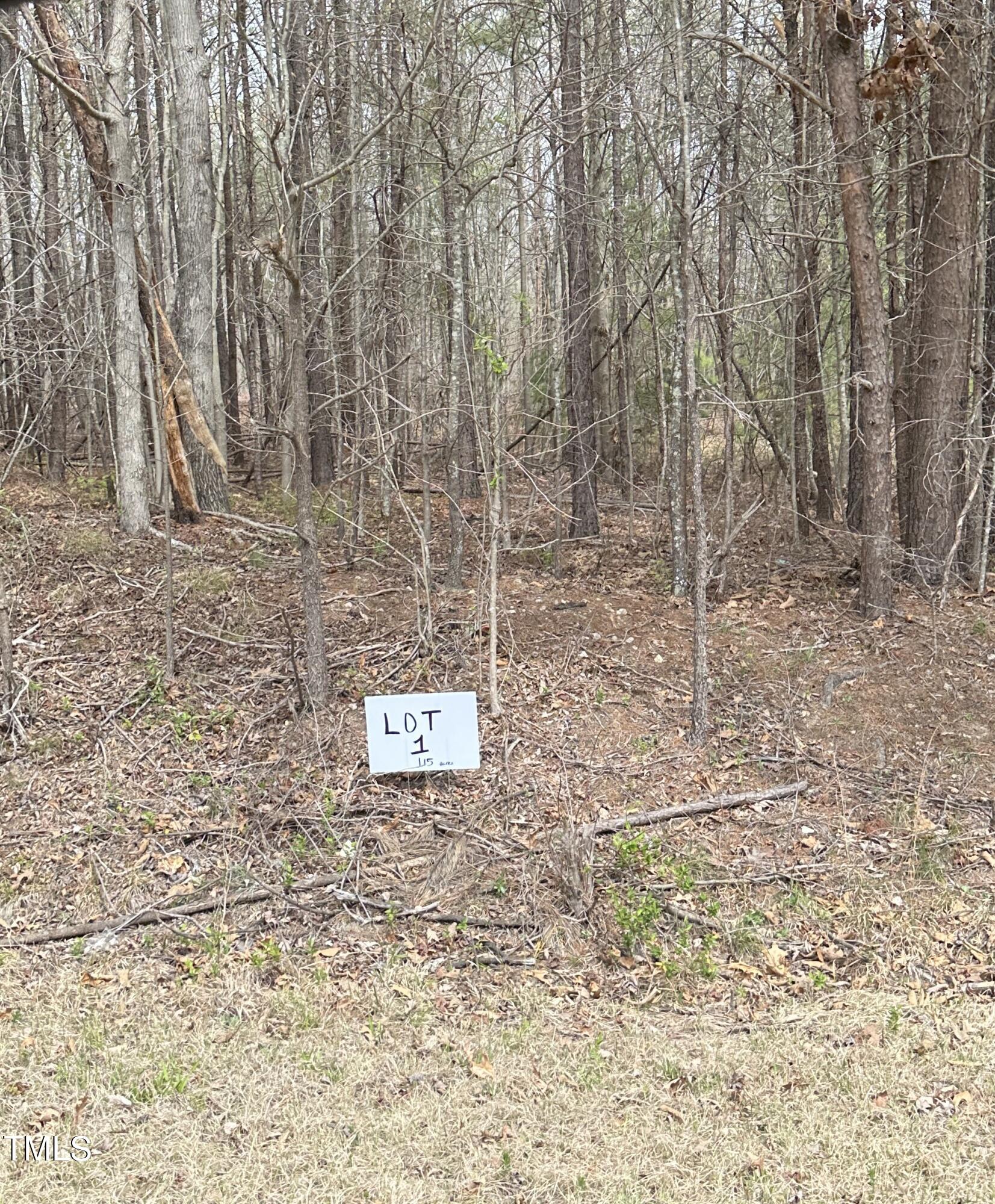 16.87 Cedar Grove Church Road Roxboro, NC 27574 - Photo 2 of 11 IMG_2208