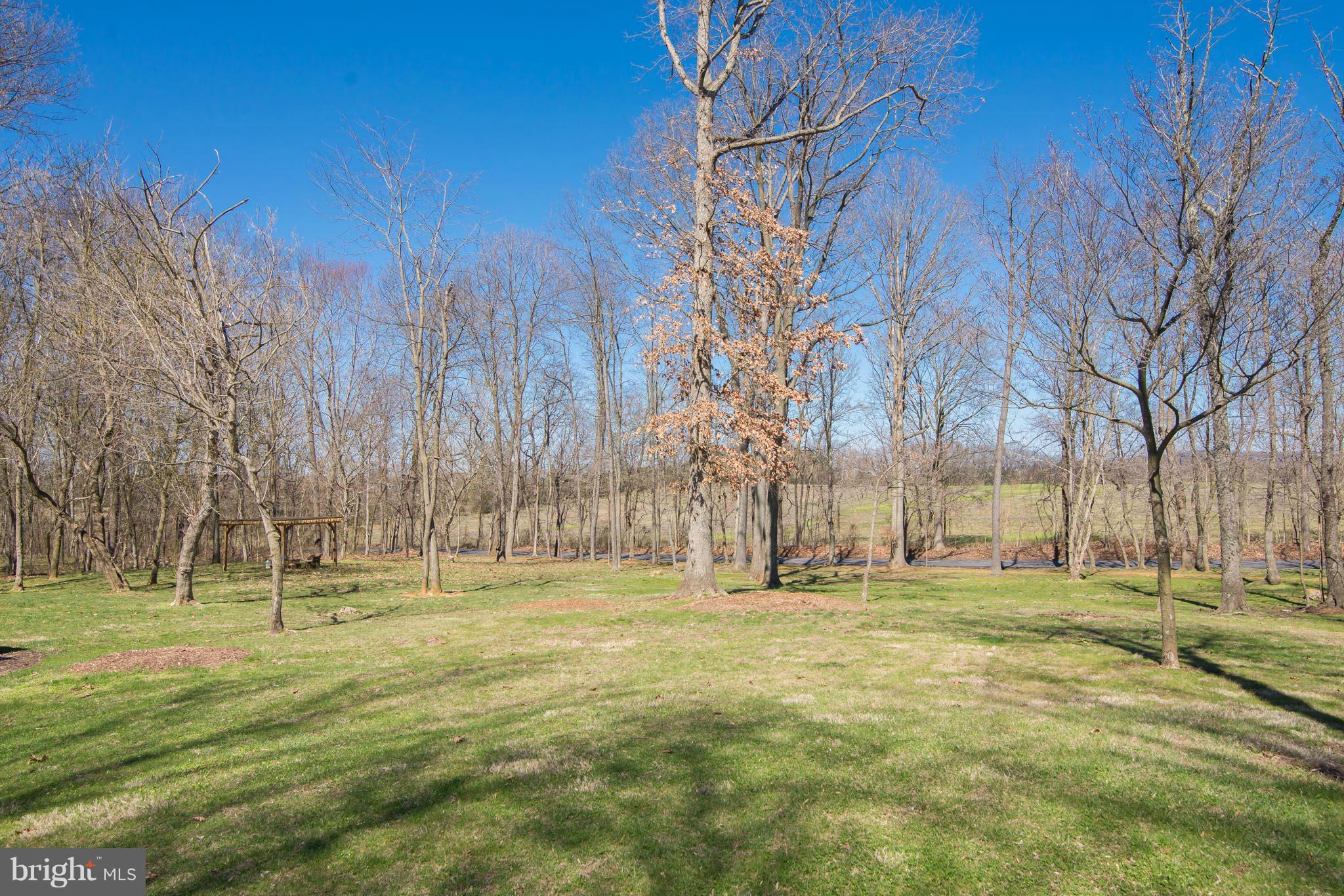 399 River Road Shepherdstown, WV 25443 - Photo 5 of 30 Exterior (General)