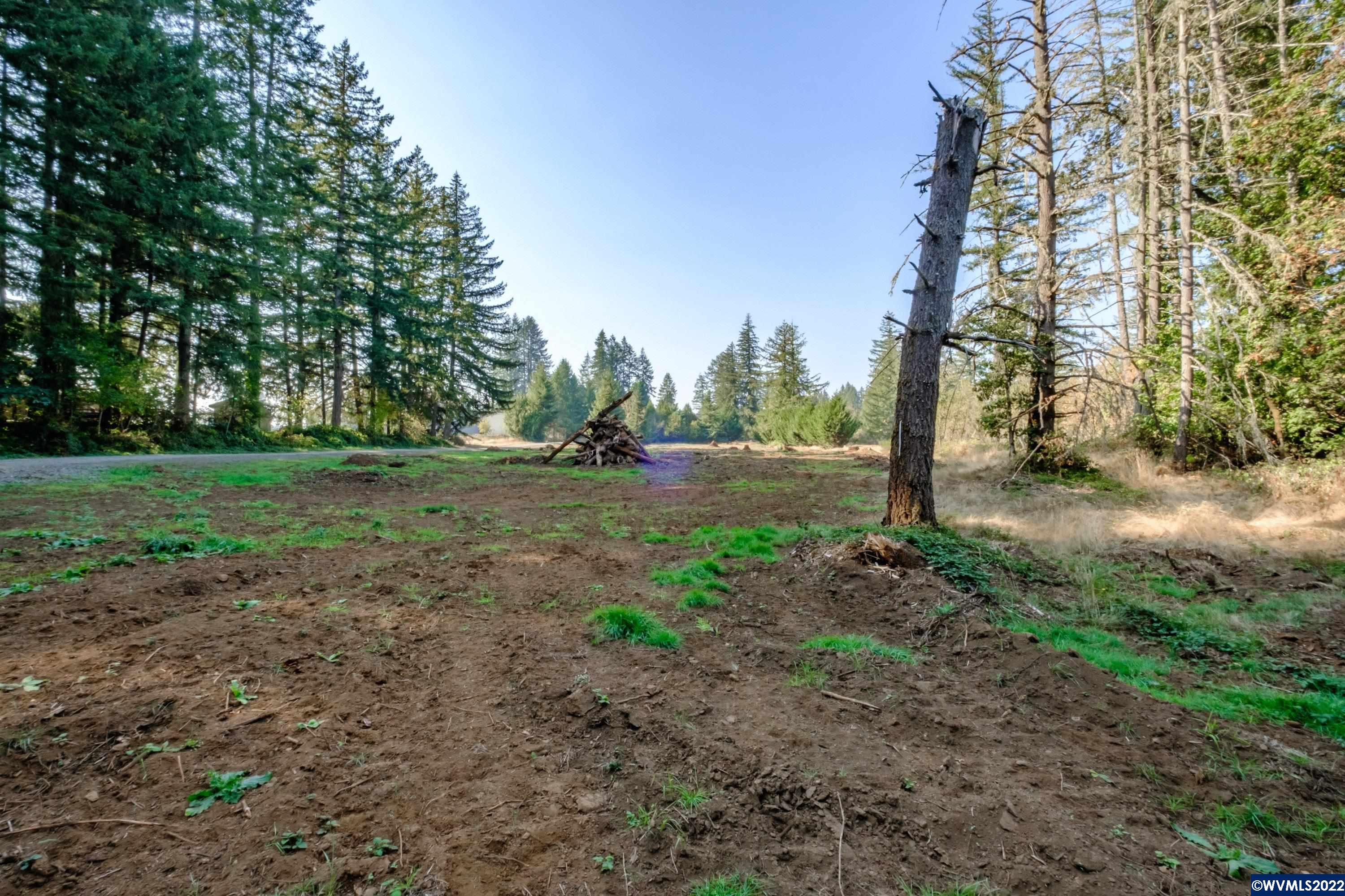 25668 Rice (parcel Road Sweet Home, OR 97386 - Photo 14 of 18