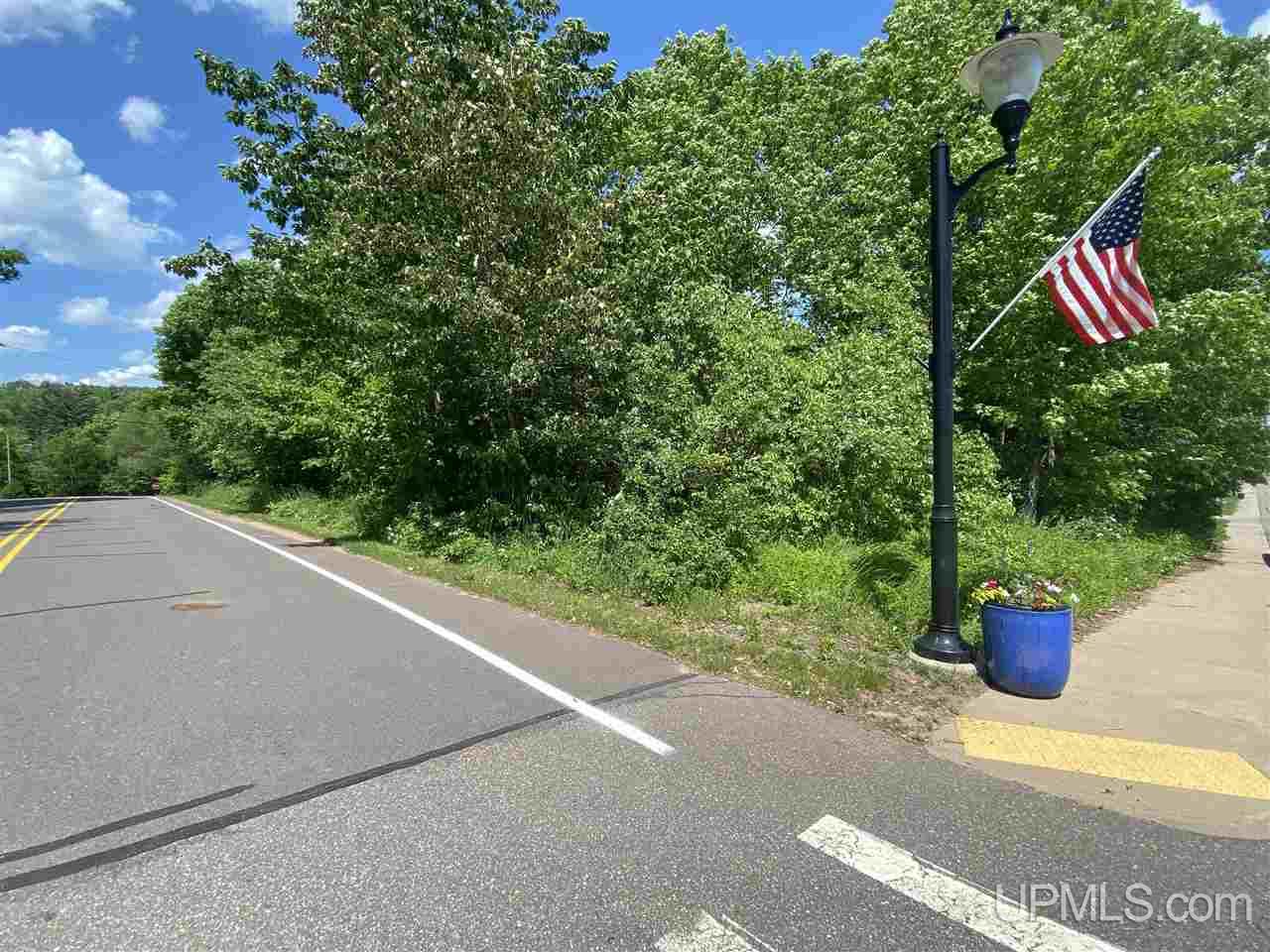 Tbd West Main Street Michigamme, MI 49861 - Photo 4 of 6