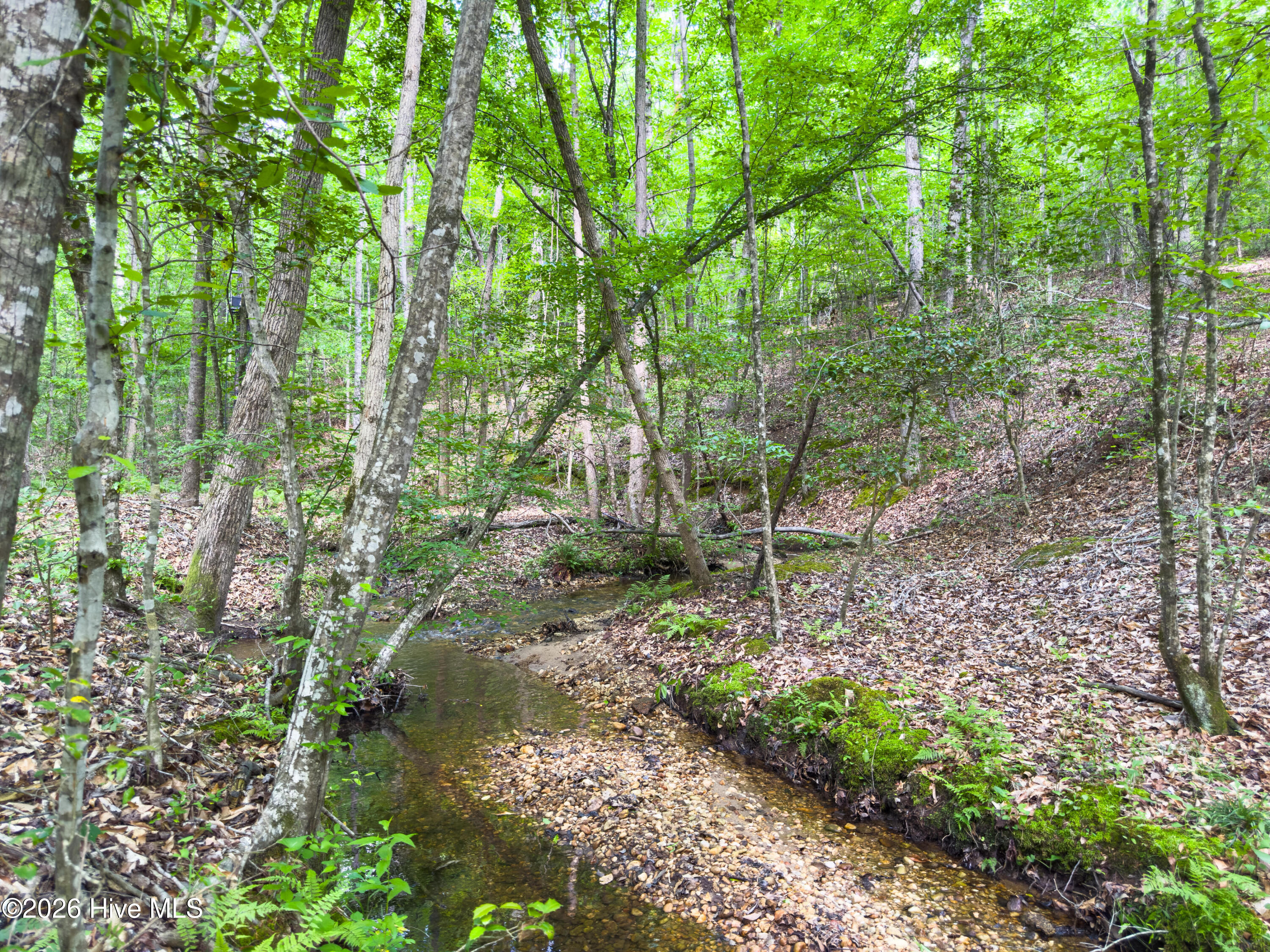 0 Old Charlotte Highway Rockingham, NC 28379 - Photo 1 of 13 01_beyc69b42ba2c3250
