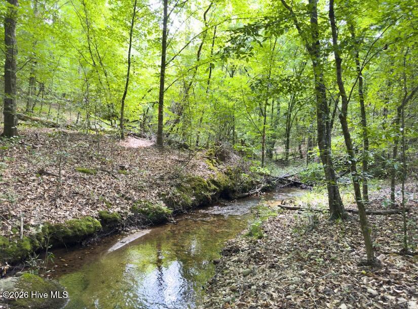 0 Old Charlotte Highway Rockingham, NC 28379 - Photo 2 of 13 02_beyc69b42bceeed12