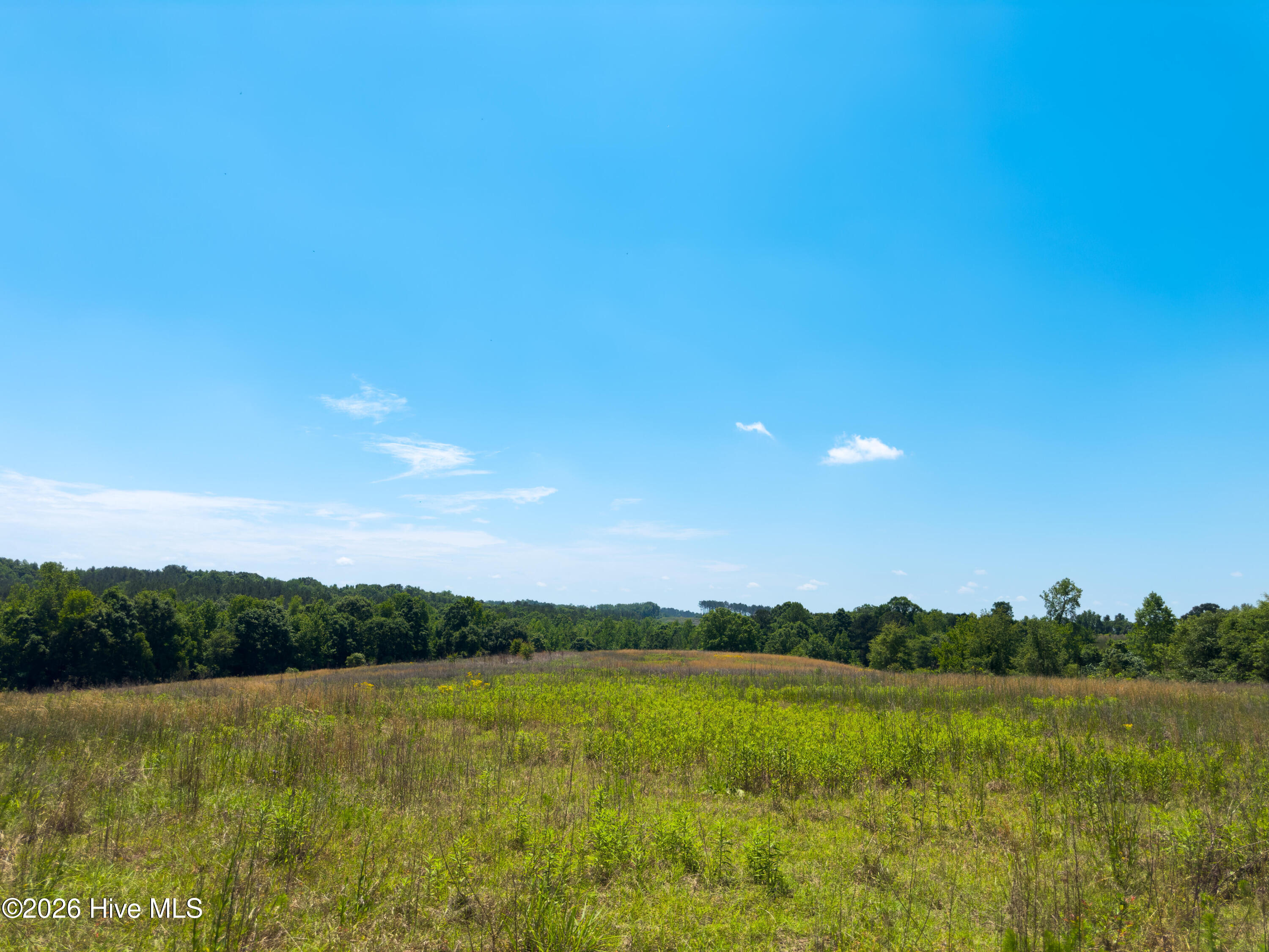 0 Old Charlotte Highway Rockingham, NC 28379 - Photo 4 of 13 04_beyc69b42ba103bb4
