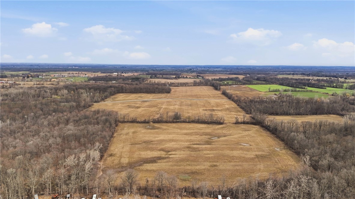 Rt-262 Road Bergen, NY 14416 - Photo 5 of 6