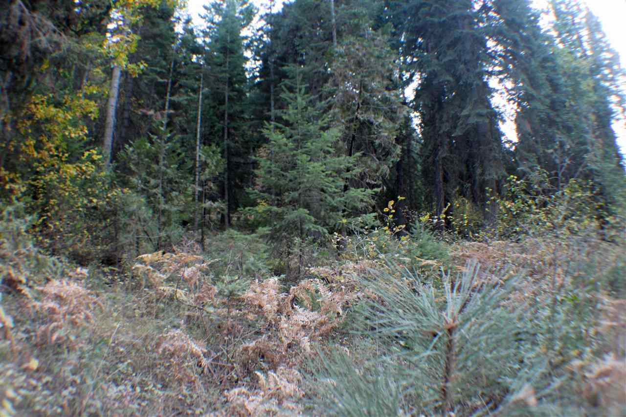 35 B Sugar Pine Road Weed, CA 96094 - Photo 6 of 9 Gallery Image 6