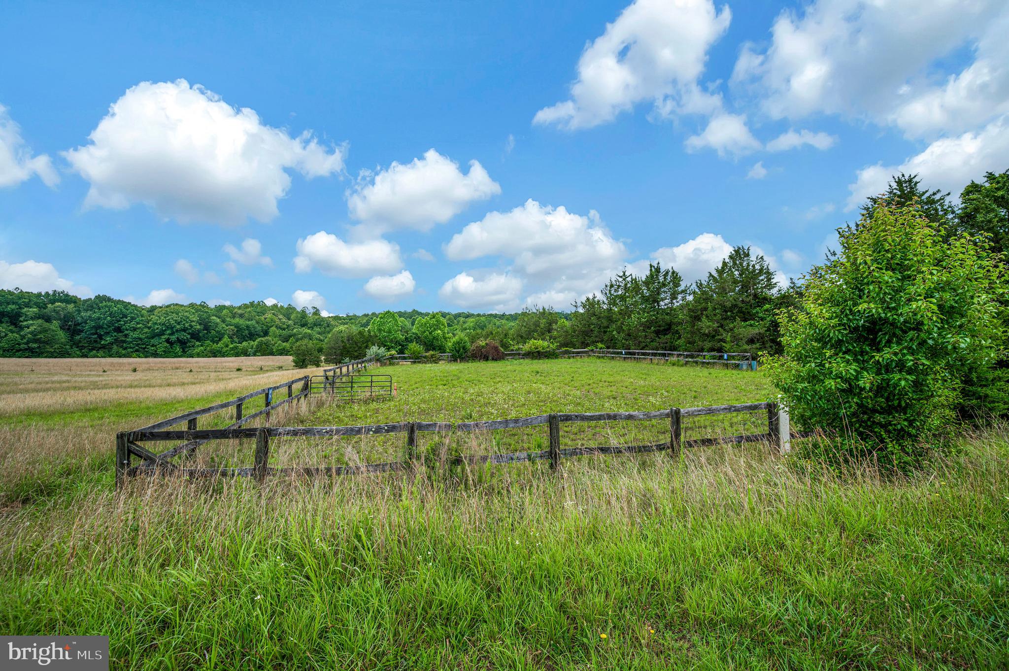 6317 Louisianna Road Locust Grove, VA 22508 - Photo 37 of 57