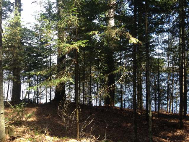 Lot 1 Birch Point Road Conover, WI 54519 - Photo 8 of 16 Gallery Image 8