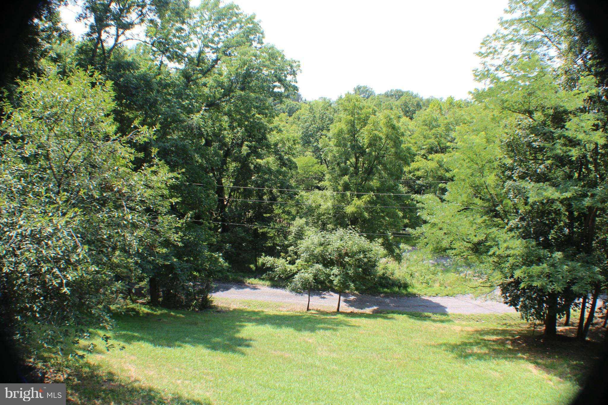 111 Dragons Road Linden, VA 22642 - Photo 3 of 19 Exterior (General)