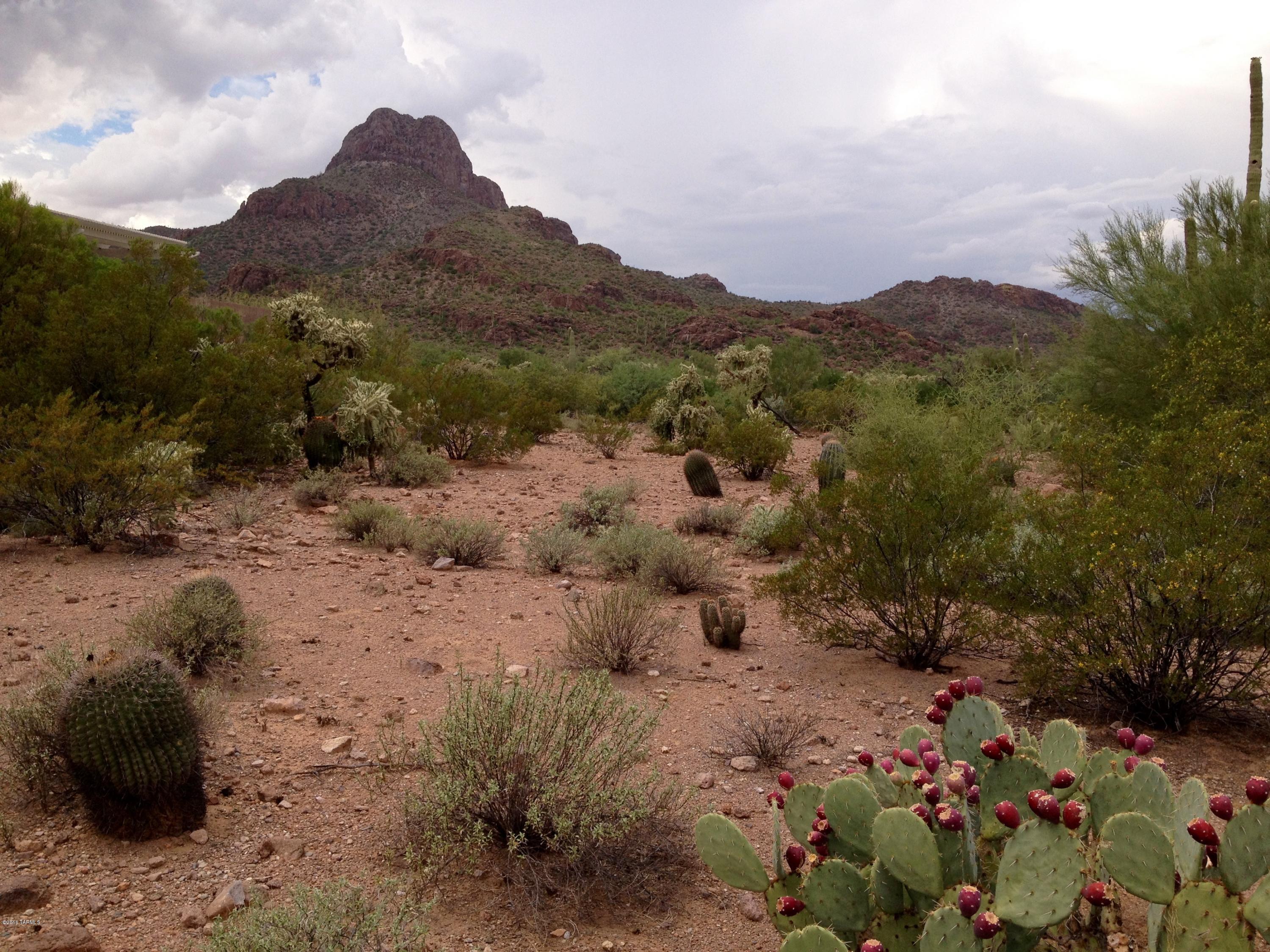 7931 North Iron Ridge Drive Tucson, AZ 85743 - Photo 21 of 21 a view of a dry field with mountains in the background