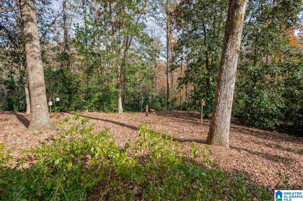 3441 South Brookwood Road Birmingham, AL 35223 - Photo 46 of 46