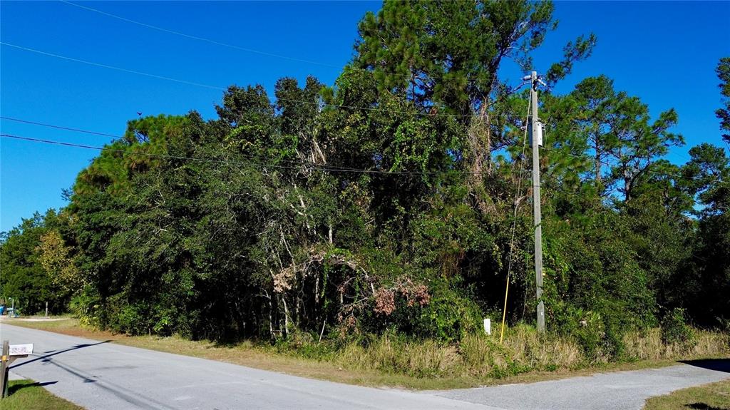 7049 Centerwood Avenue Spring Hill, FL 34606 - Photo 4 of 11 a view of a yard