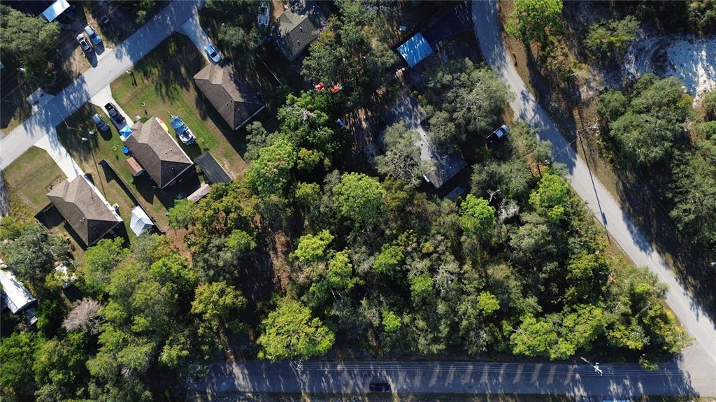 7049 Centerwood Avenue Spring Hill, FL 34606 - Photo 10 of 11 an aerial view of residential house with outdoor space and trees all around