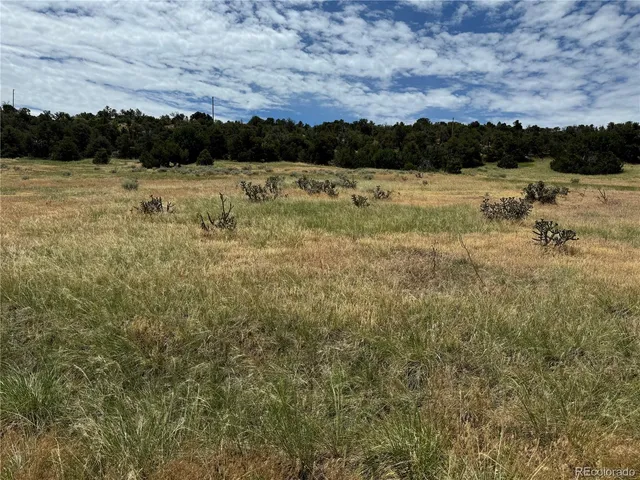 $17,500 | Badger Road, Walsenburg, CO 81089