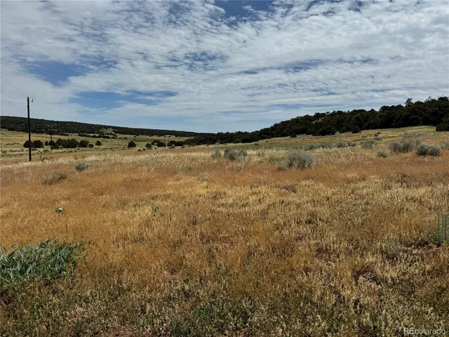 $17,500 | Badger Road, Walsenburg, CO 81089