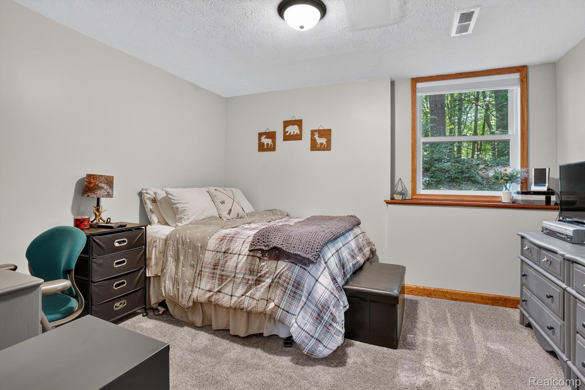 5361 Clark Road Bath, MI 48808 - Photo 26 of 62 26-5361-Clark-Rd-WindowStill-Photography.jpg