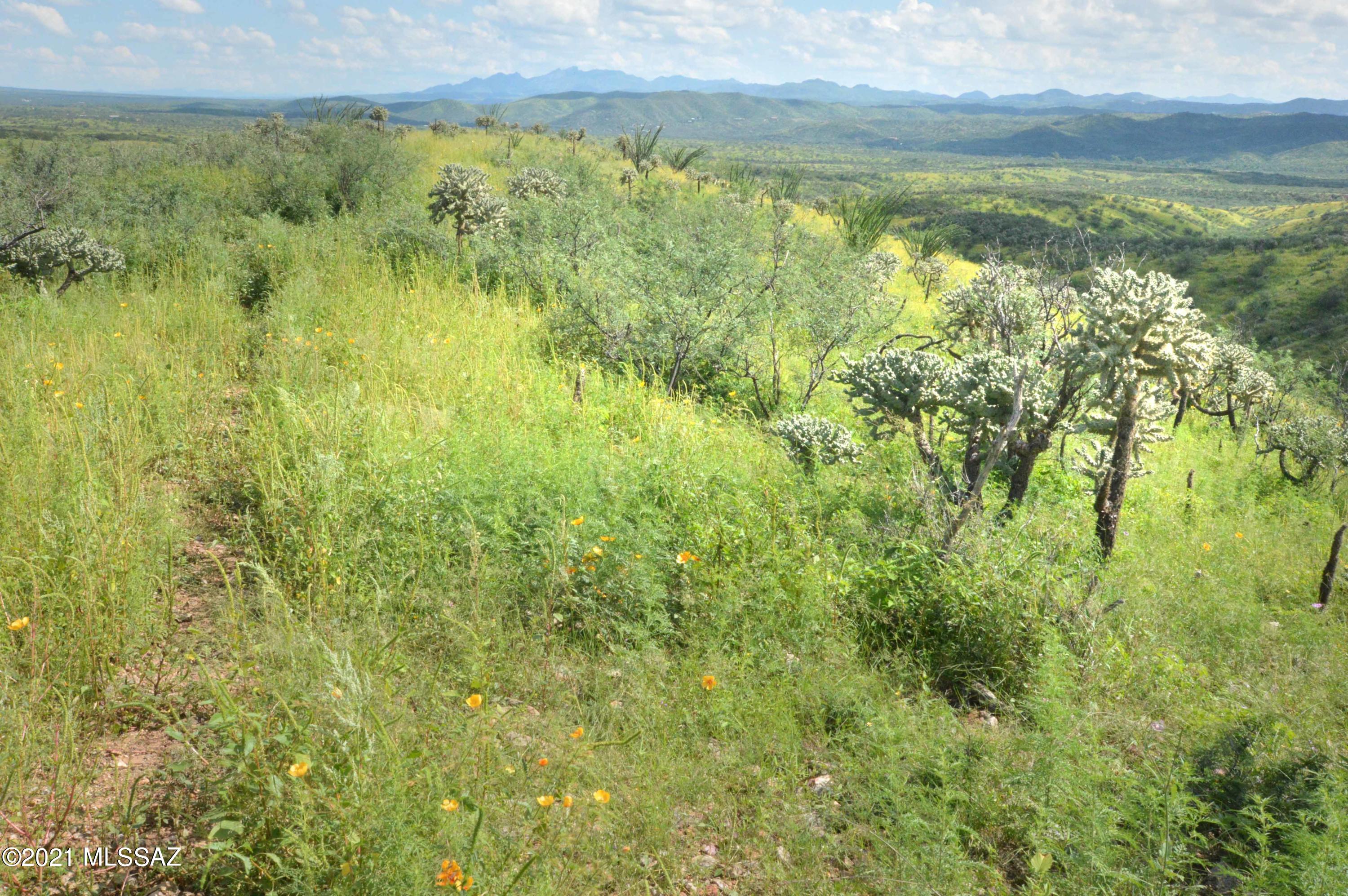 Tbd Sonoita Creek Ranch Road, Unit 87 Nogales, AZ 85621 - Photo 20 of 27