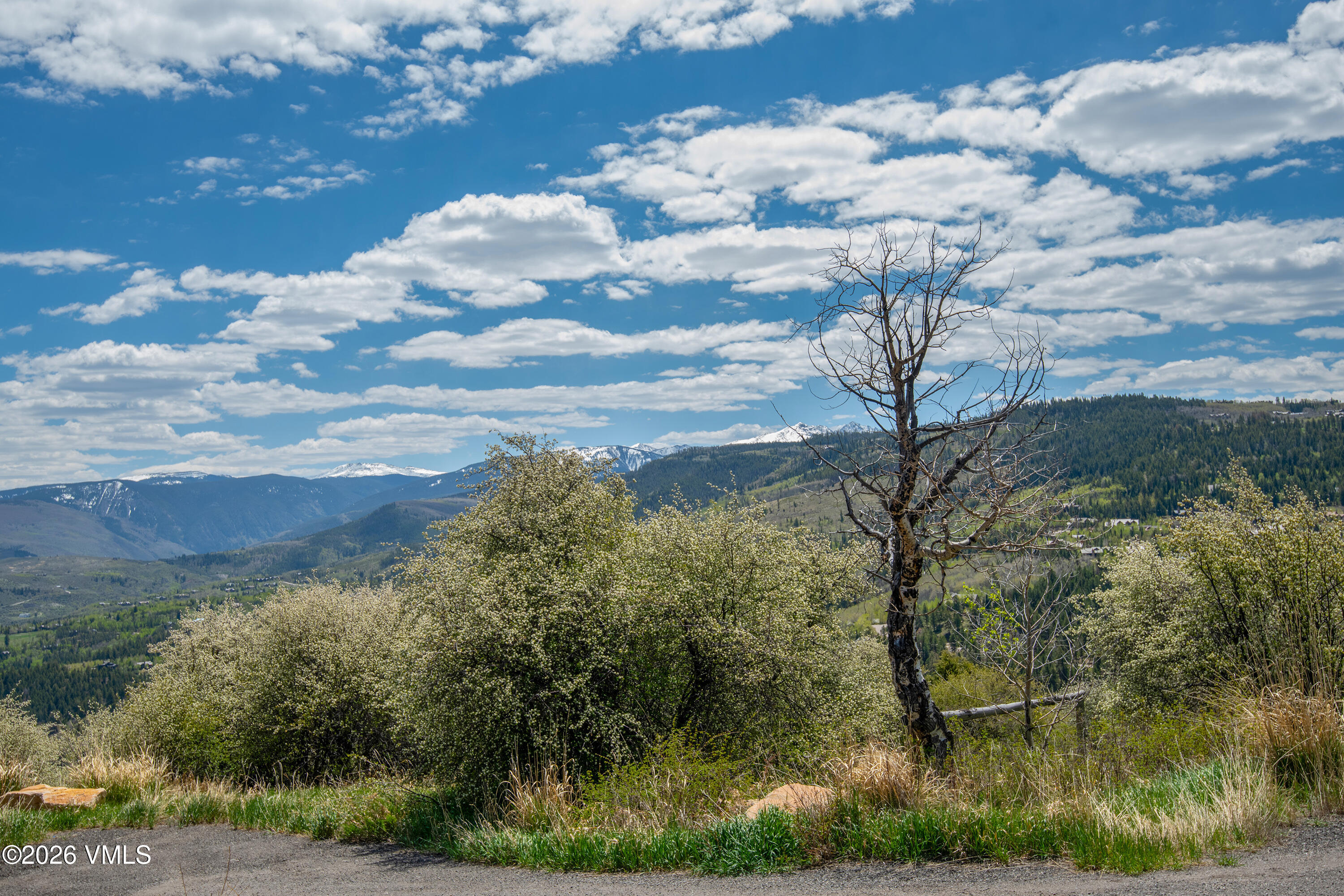 889 Ute Forest Edwards, CO 81632 - Photo 15 of 44 889 Ute Forest Lane Views