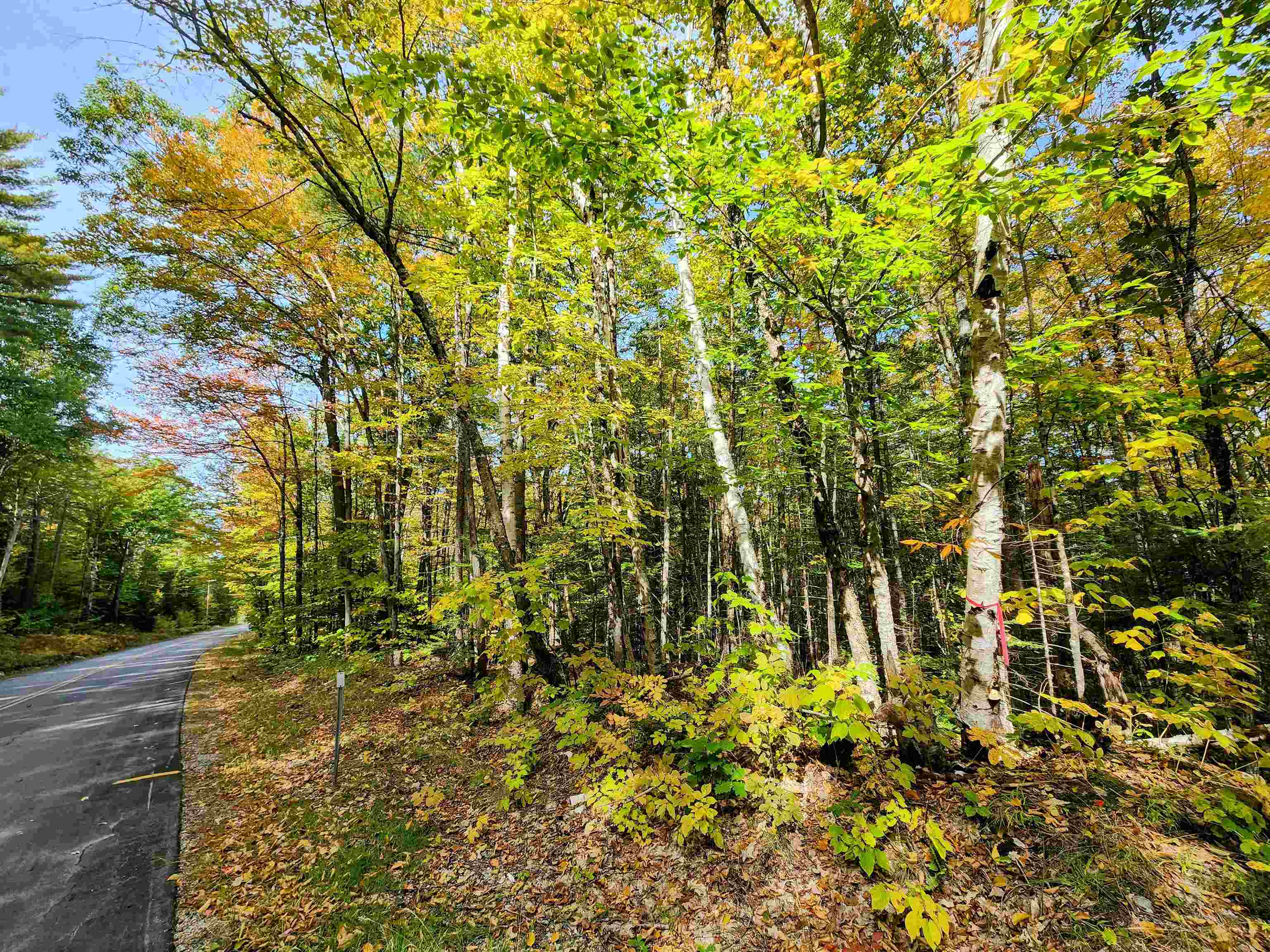 0 Bradley Hill Road, Unit LOT #55 Bath, NH 03740 - Photo 1 of 5