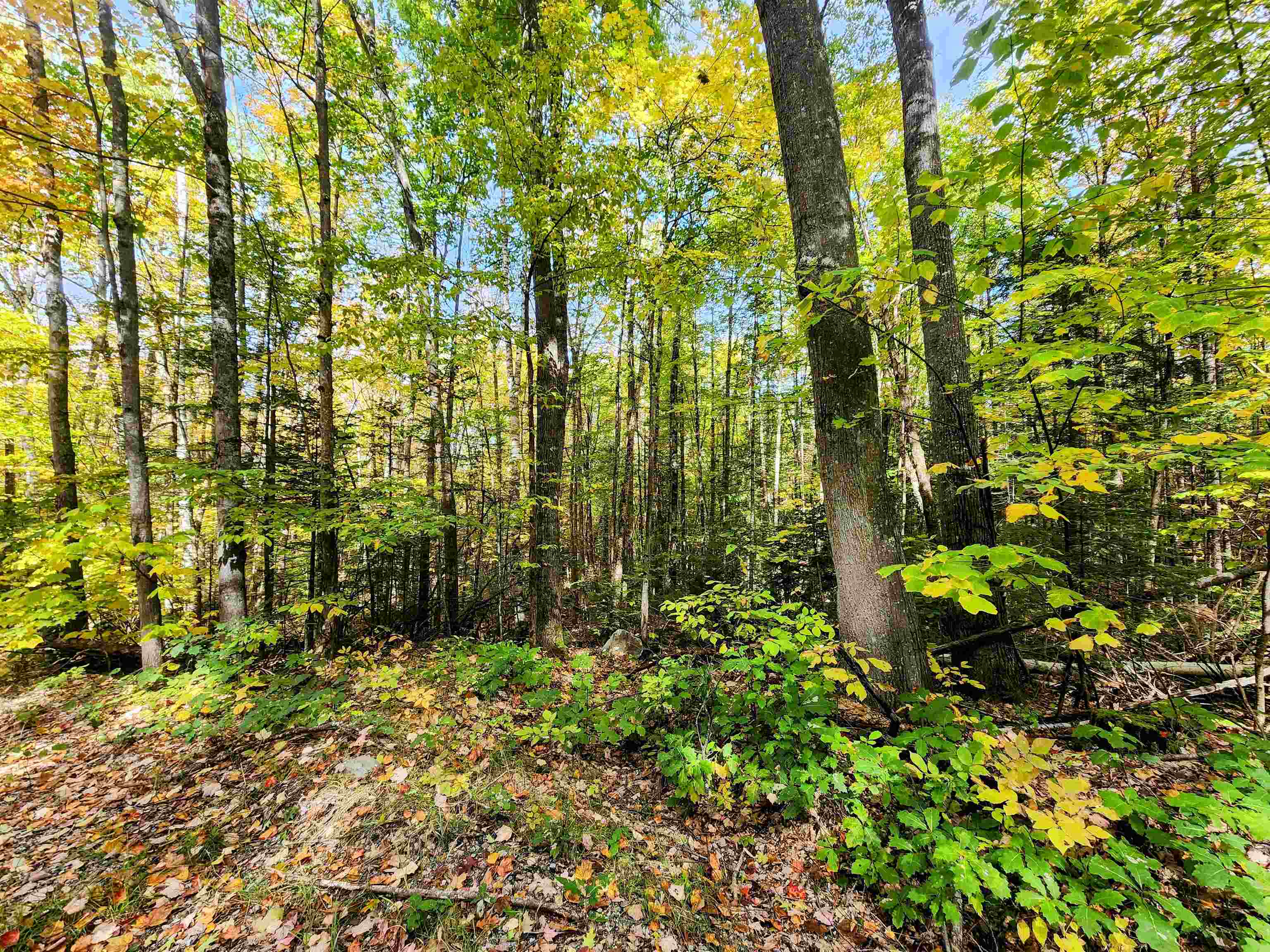 0 Bradley Hill Road, Unit LOT #55 Bath, NH 03740 - Photo 2 of 5
