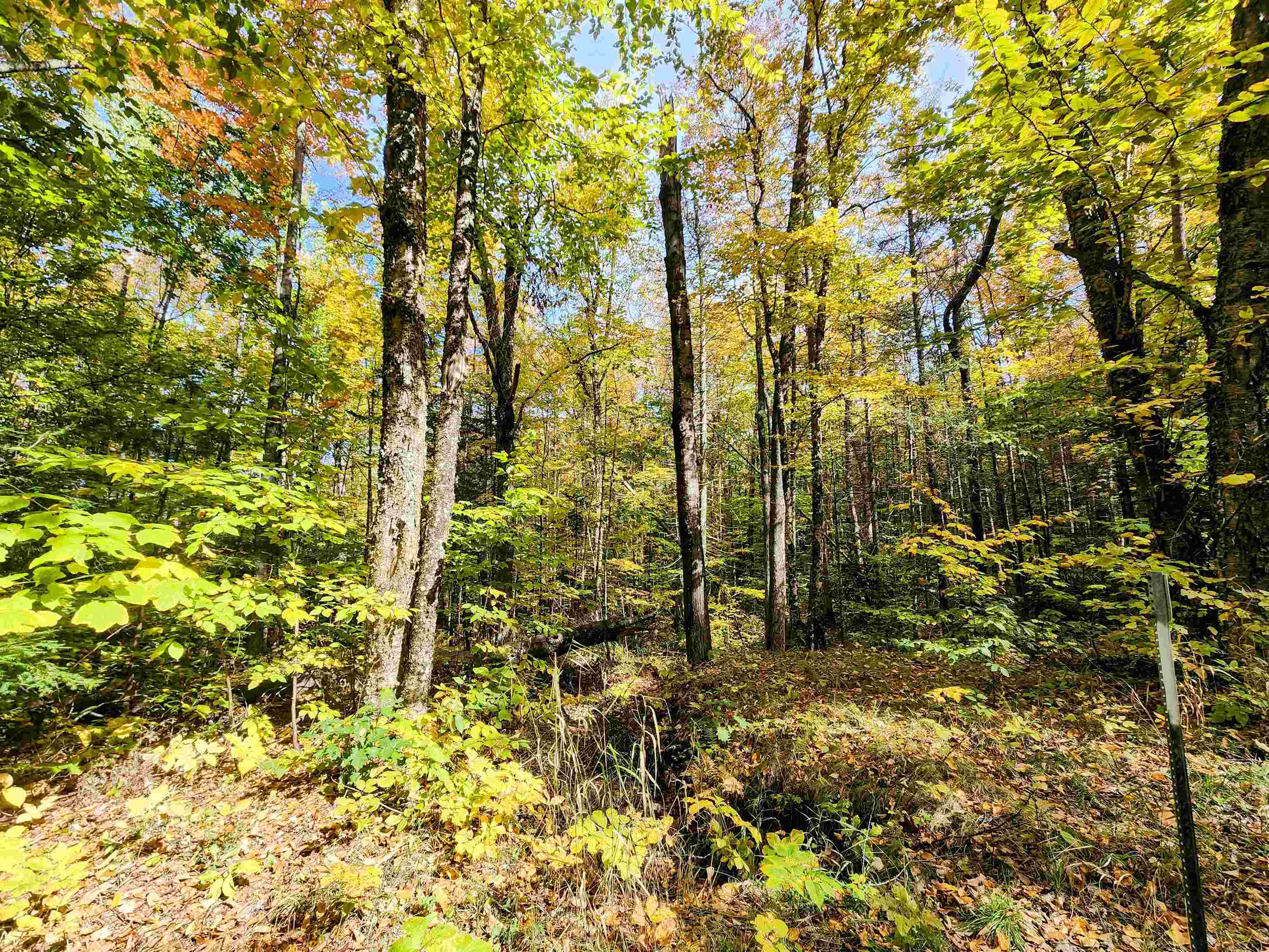 0 Bradley Hill Road, Unit LOT #55 Bath, NH 03740 - Photo 3 of 5