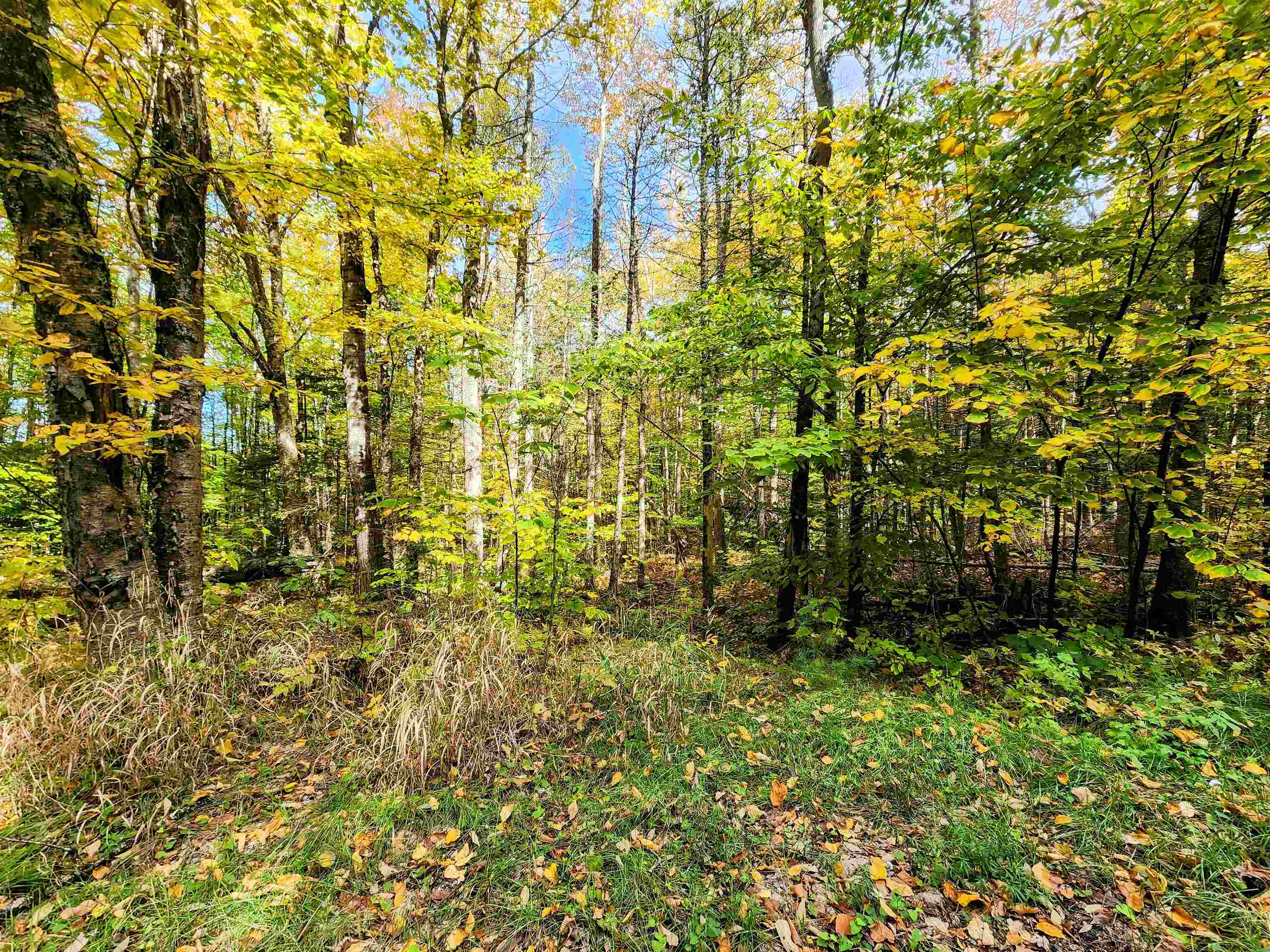 0 Bradley Hill Road, Unit LOT #55 Bath, NH 03740 - Photo 4 of 5