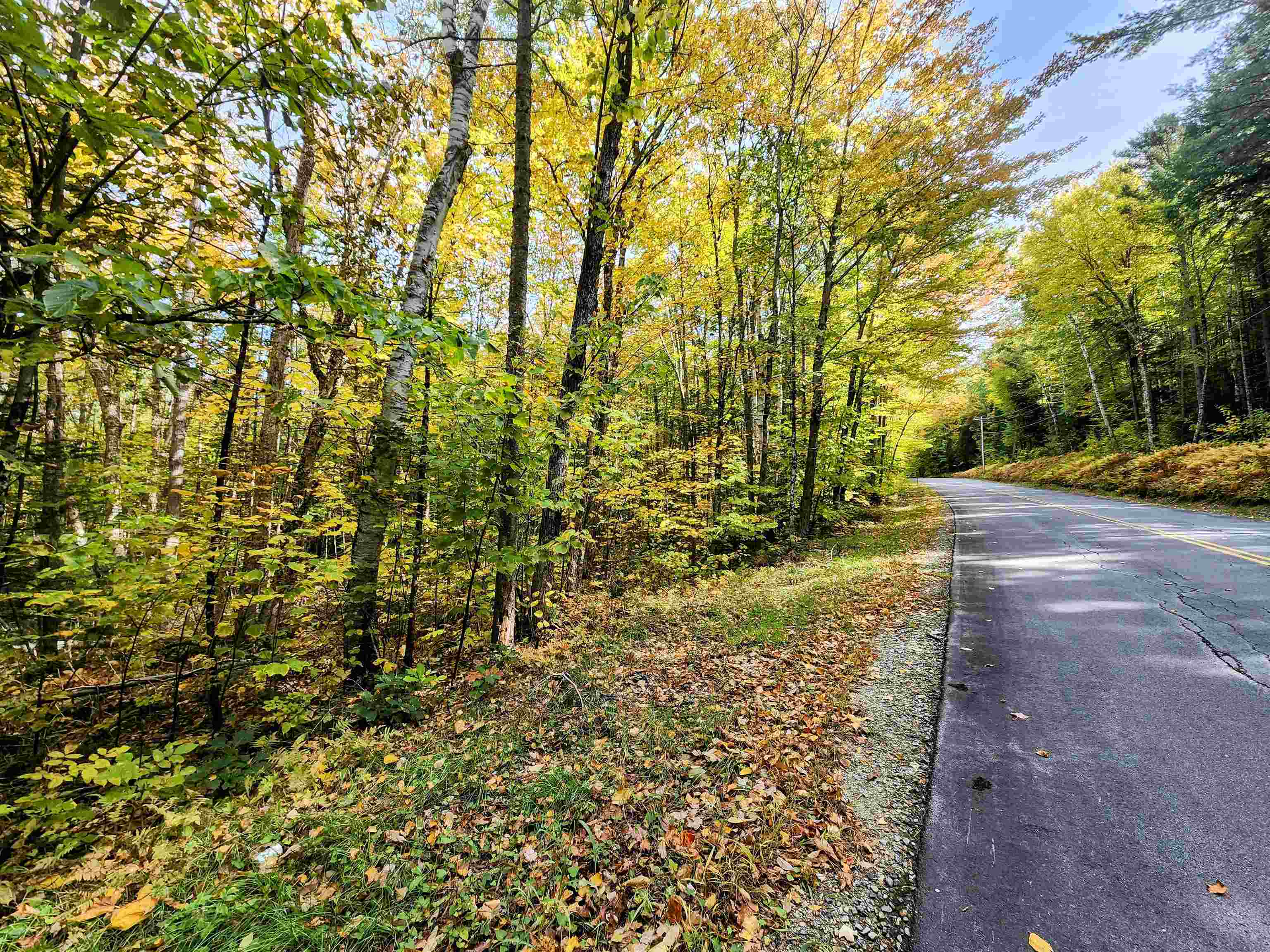 0 Bradley Hill Road, Unit LOT #55 Bath, NH 03740 - Photo 5 of 5
