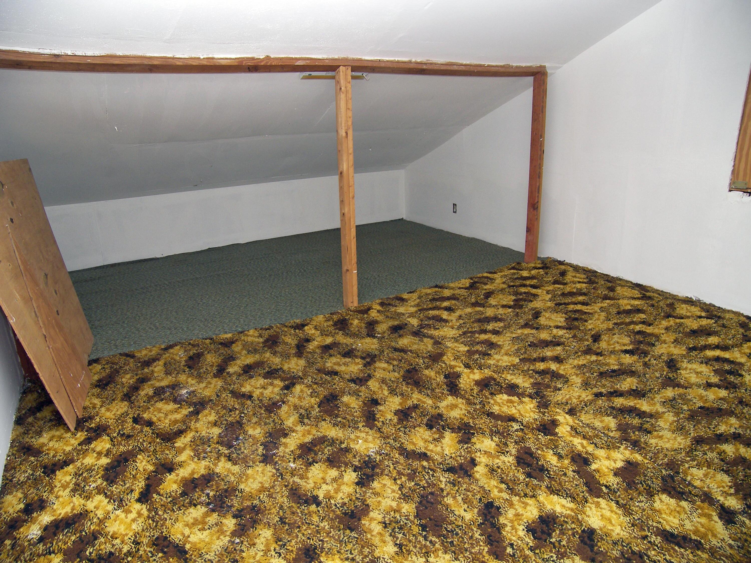 9 Pequannock Road Goose Creek, SC 29445 - Photo 14 of 16 Unfinished Frog