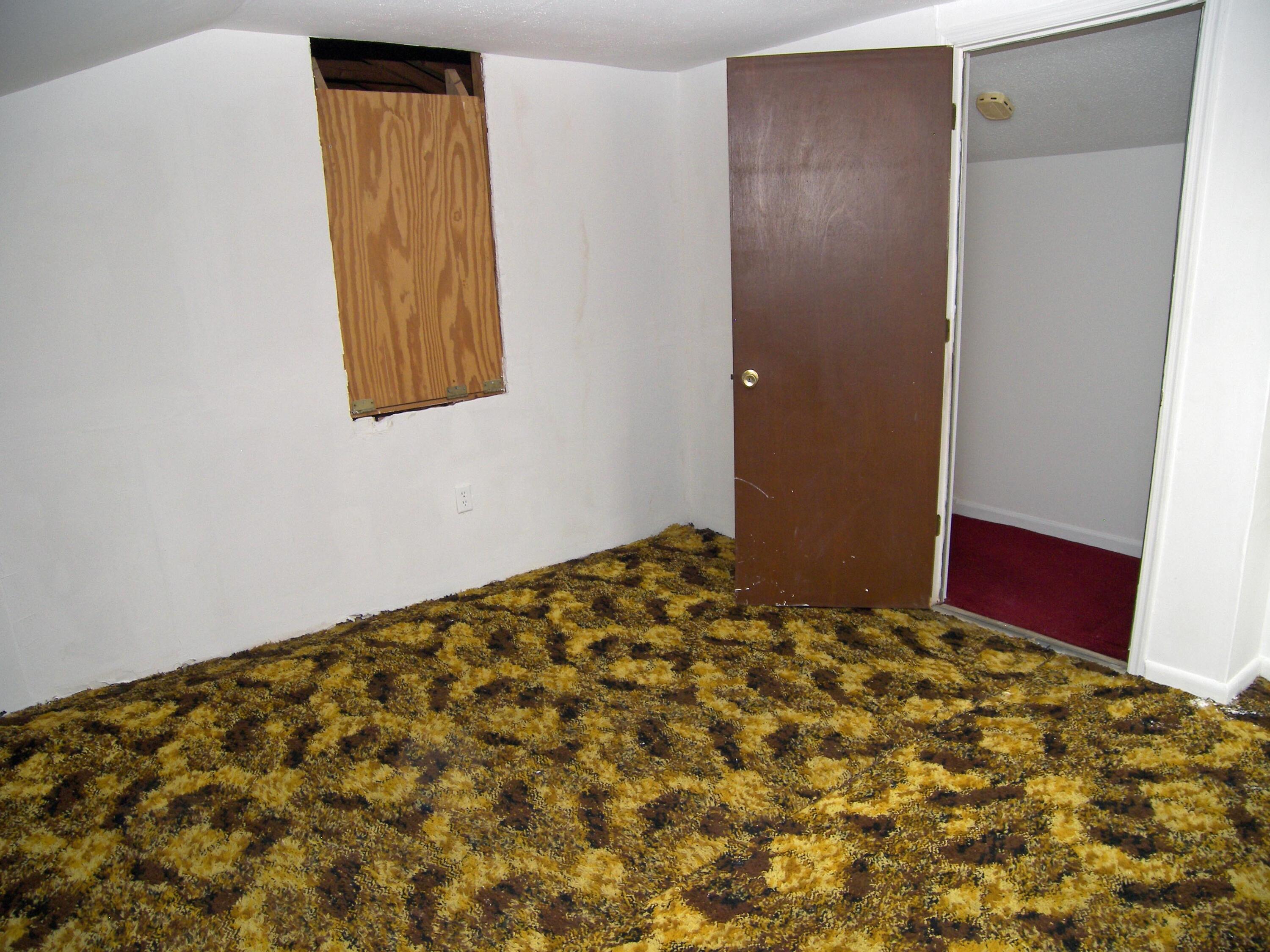 9 Pequannock Road Goose Creek, SC 29445 - Photo 15 of 16 Unfinished Frog 2