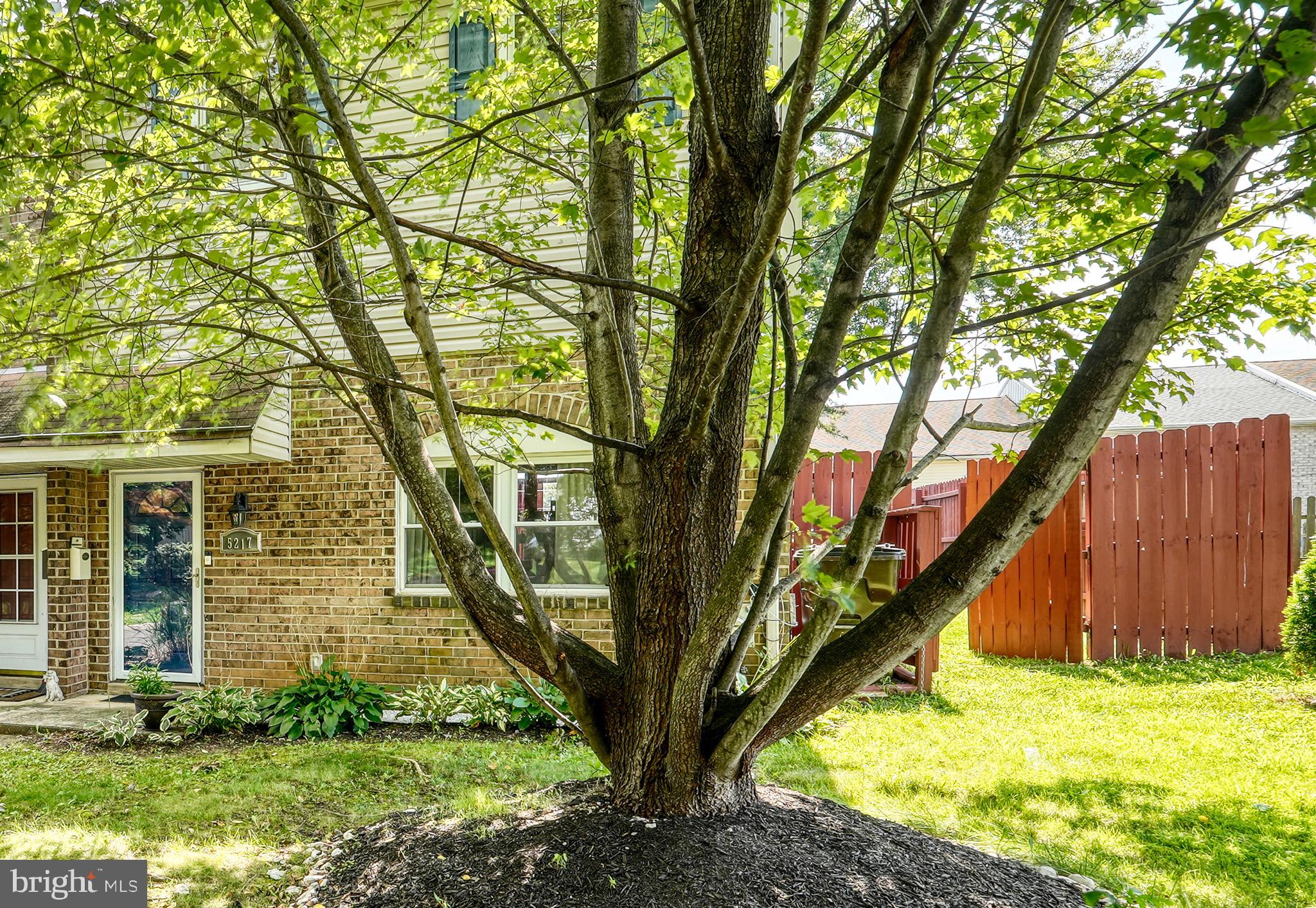 5217 Bay Road, Unit N Bensalem, PA 19020 - Photo 9 of 48 Gallery Image 9