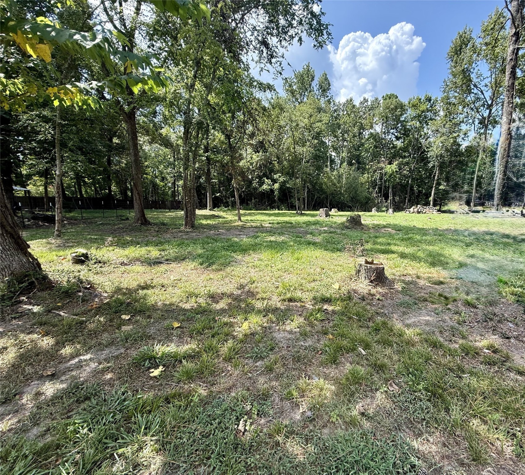 Tbd Buzzard Roost Trail Trinity, TX 75862 - Photo 1 of 18 a view of a park that has large trees
