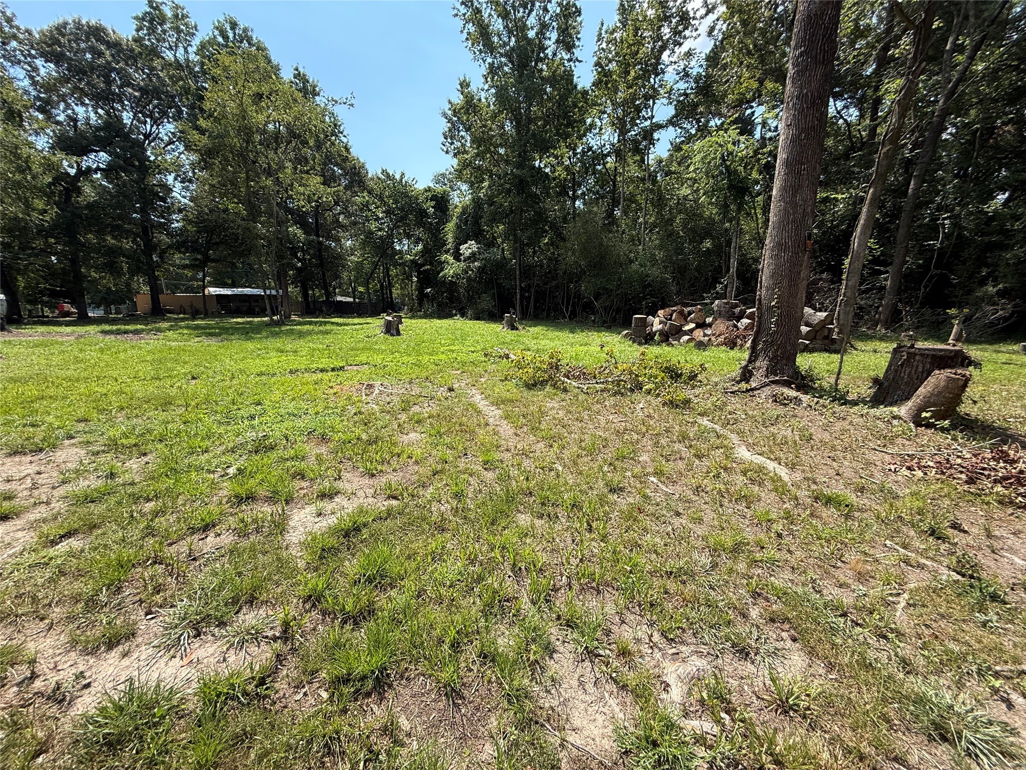Tbd Buzzard Roost Trail Trinity, TX 75862 - Photo 2 of 18 a view of a park with large trees