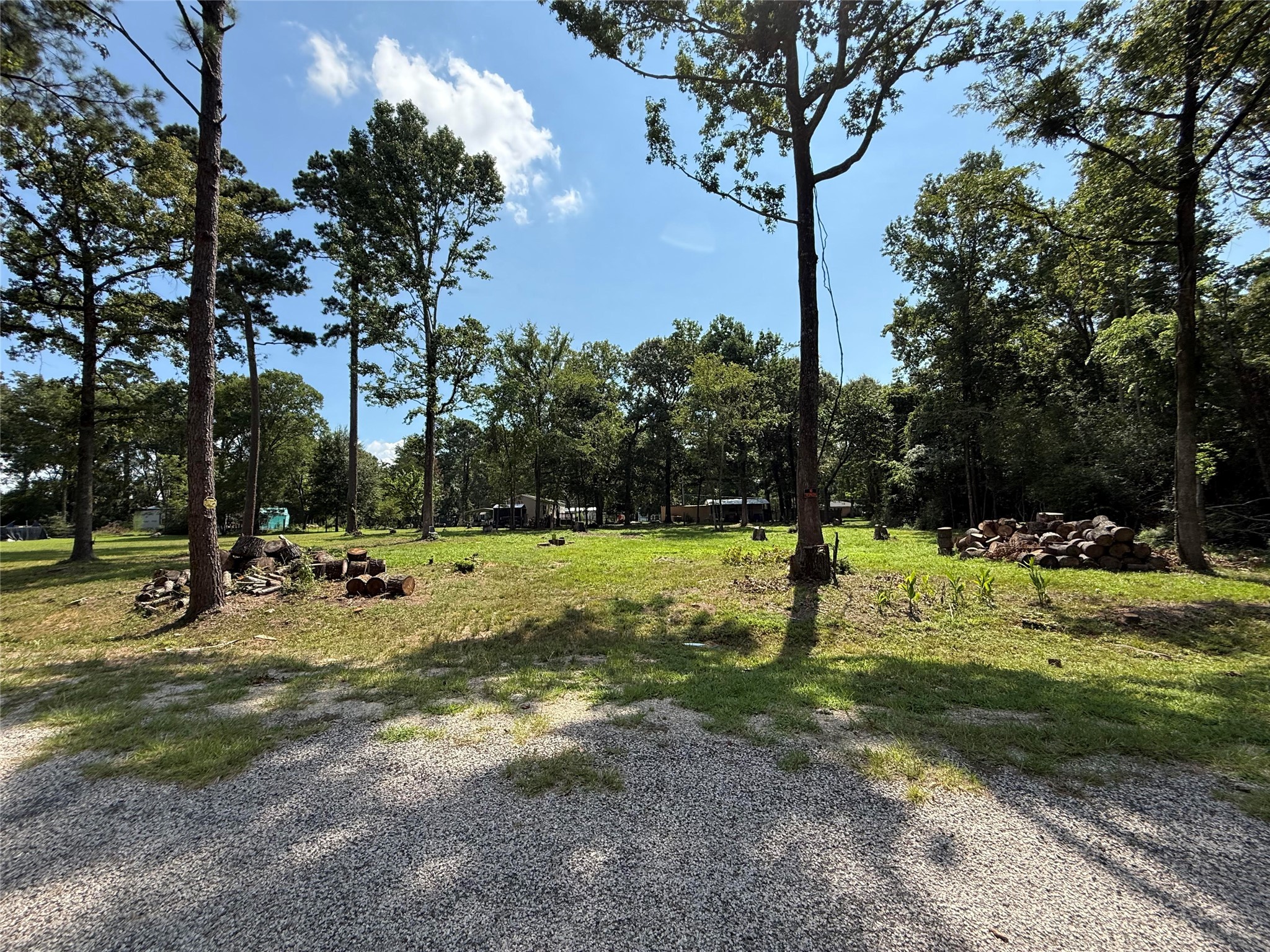 Tbd Buzzard Roost Trail Trinity, TX 75862 - Photo 3 of 18 a view of a park with large trees