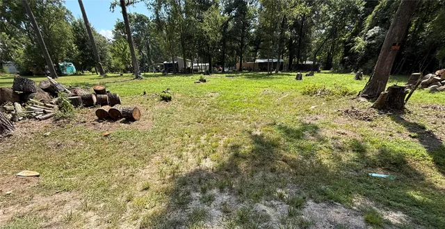a view of a park with large trees