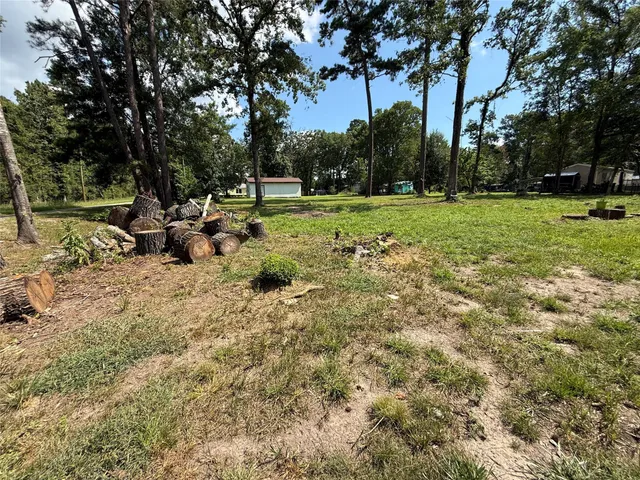 a view of a yard with a tree