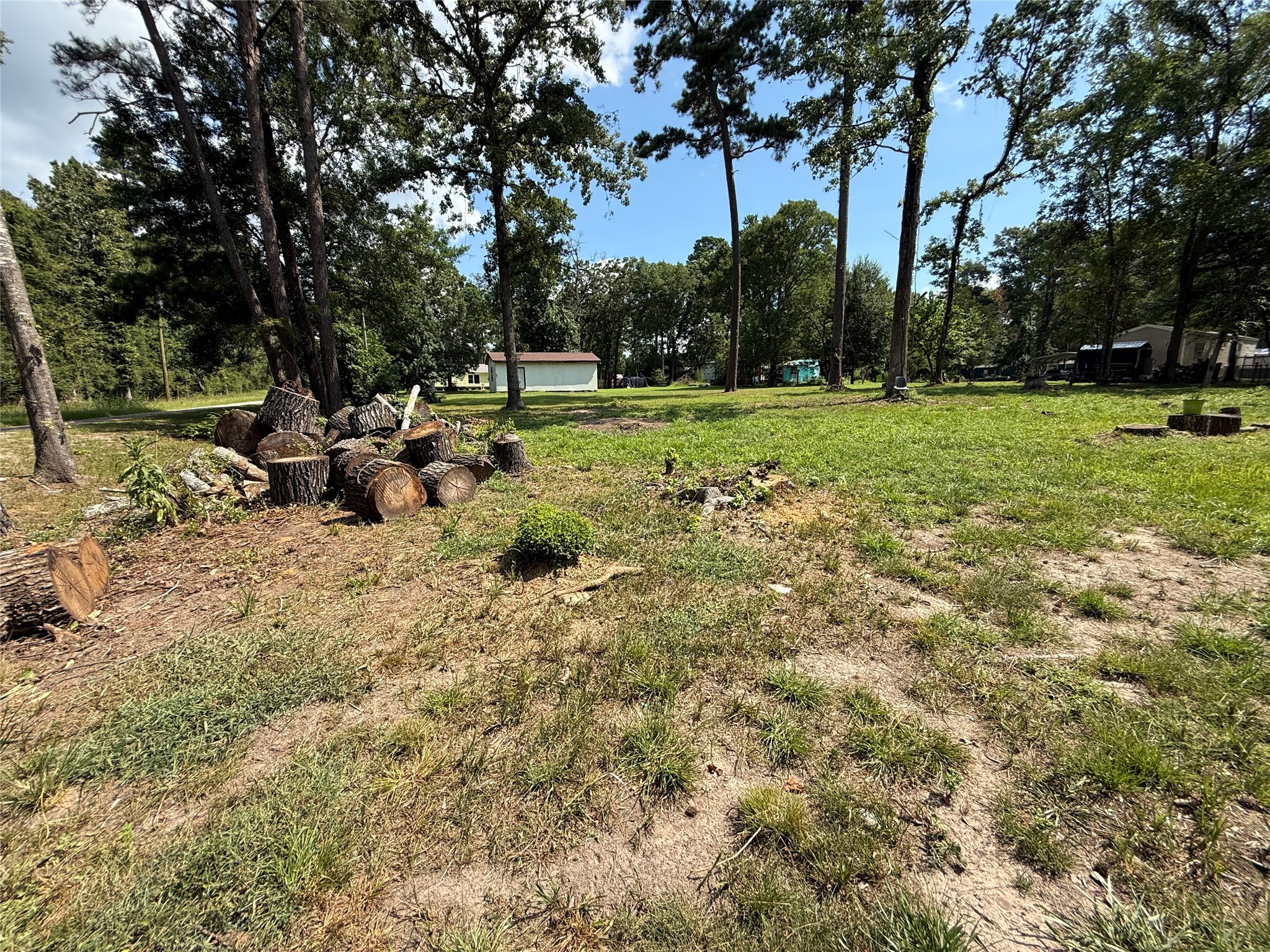 Tbd Buzzard Roost Trail Trinity, TX 75862 - Photo 6 of 18 a view of a park with large trees