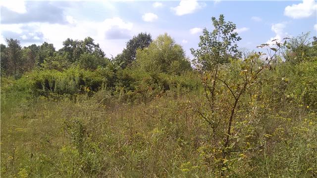 0 Mt Pleasant Cem Road Primm Springs, TN 38476 - Photo 2 of 10 ROLLING TERRAIN WITH LARGE MATURE TREES