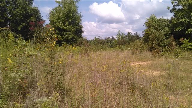 0 Mt Pleasant Cem Road Primm Springs, TN 38476 - Photo 3 of 10 NICE BUILDING SPOTS WITH TREES IN THE BACKGROUND
