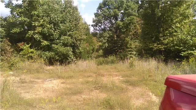 0 Mt Pleasant Cem Road Primm Springs, TN 38476 - Photo 4 of 10 BEAUTIFUL TALL MATURED TREES ALL OVER THE 106.50 ACRES