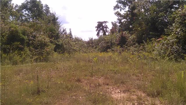 0 Mt Pleasant Cem Road Primm Springs, TN 38476 - Photo 5 of 10 ANOTHER POSSIBILITY FOR A HOME SITE